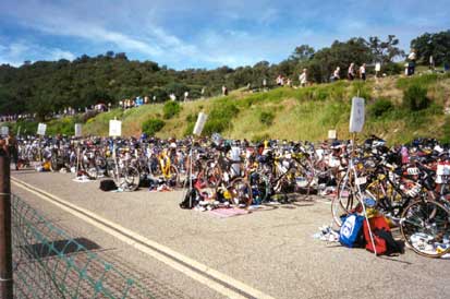 Wildflower transition (bike)