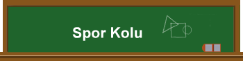 Spor Kolu