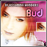 Blossoming Wonders - Level Three