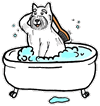 Grooming