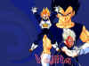 A nice picture of Vegetas to the right side.
