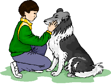 boy kneeling down to pet border collie
