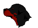 rottweiler facing left