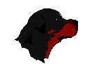 rottweiler facing right