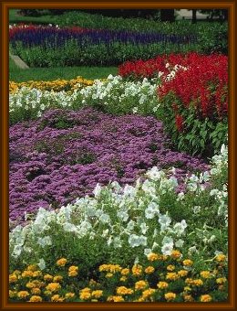 garden image - vertical