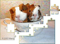 Rosie and Rusty