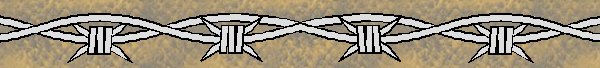 wire.jpg (19451 bytes)