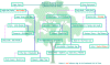 images/Abbystree.gif (62559 bytes)