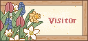 Visitor
