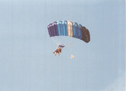 dennis in the air