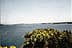 Bay of Fundy