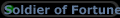 Soldier of Fortune