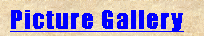Text Box: Picture Gallery