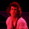 Rolling Stones, Madison Square Garden, N.Y., Nov 81