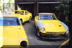 yellow Z s.jpg (24493 bytes)