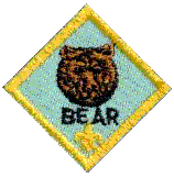 Bear Patch