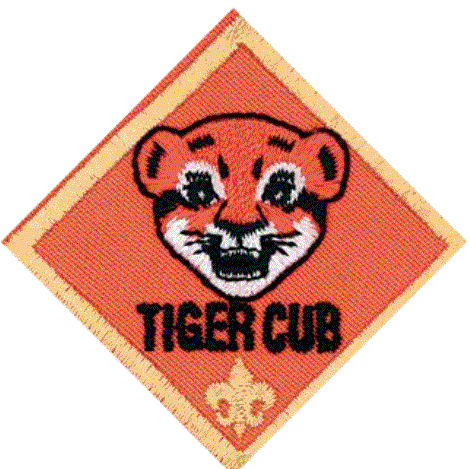 Tiger Cub Stripe