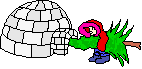 Igloo