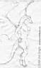 GD_Female_dragon_2004.jpg