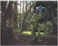 GD_Friendship_in_a_forest_2003.jpg