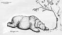 GD_Slepping_bear_2000.jpg