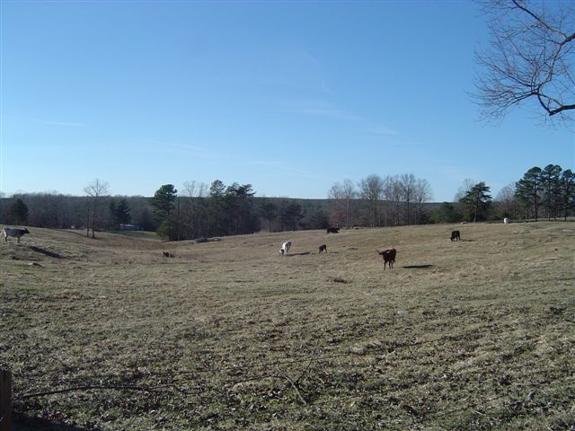 acreage4