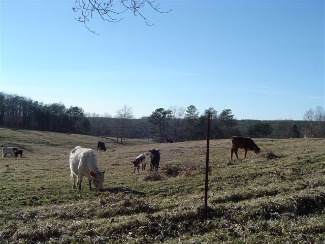 acreage5