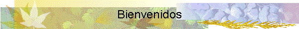 Bienvenidos