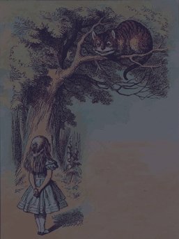 alice encounters the cheshire cat