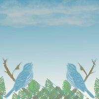 Birds Filters