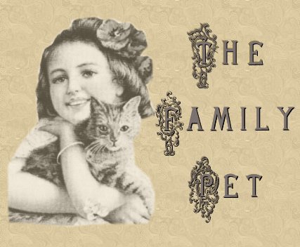 kitty.jpg (16192 bytes)