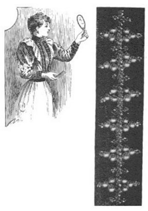 trim4.jpg (21214 bytes)