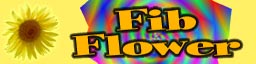 Flores de Fibonacci