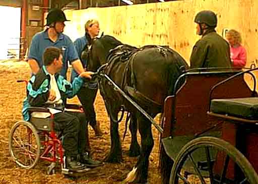 Outreach group - carriage driving