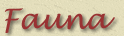 Fauna