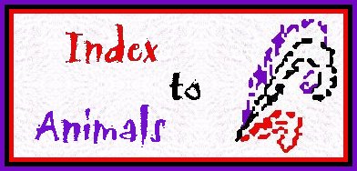 Animals Index