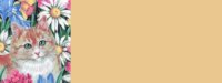 missybg2