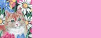 missybg3