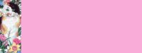 patchbg3