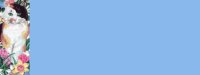 patchbg5