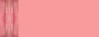 redgeo04bg2
