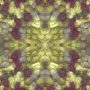multigeo01