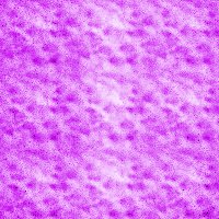 purplegeo12