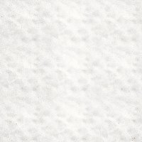 whitegeo07