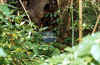 geocaching1 002.jpg (70861 bytes)