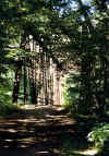 geocaching1 031.jpg (62078 bytes)