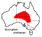 Gossypium sturtianum distribution map
