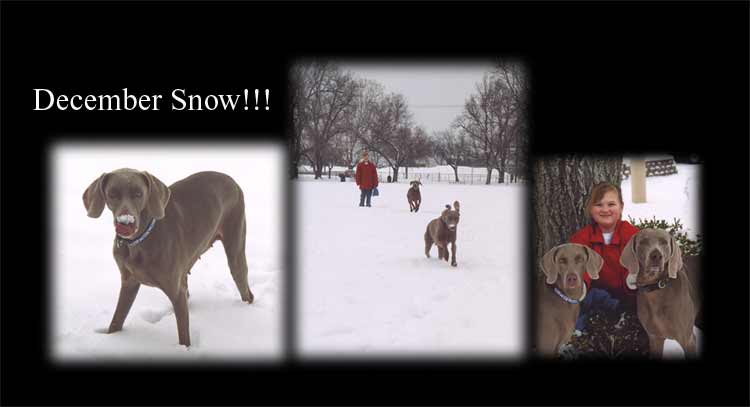 December 2003 SNOW!