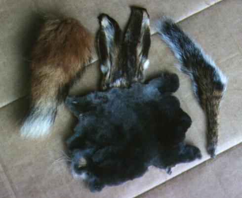 Natural Furs