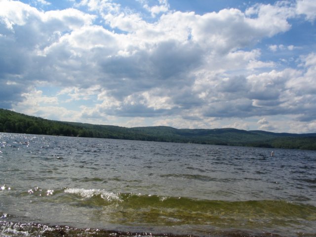 Photograph
